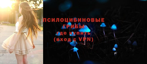 2c-b Алзамай