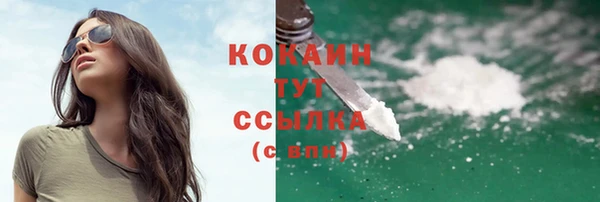 соль ск Алексеевка