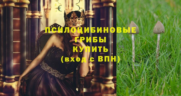 2c-b Алзамай