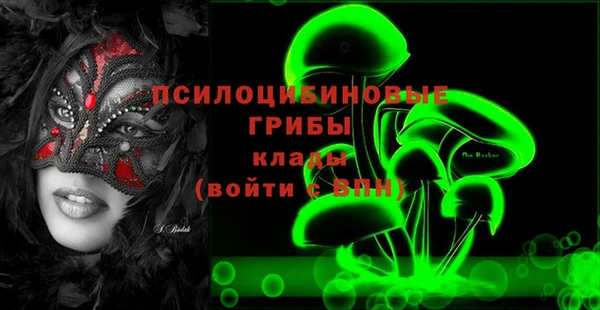 2c-b Алзамай