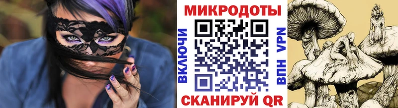купить   Крым  Галлюциногенные грибы Psilocybine cubensis 